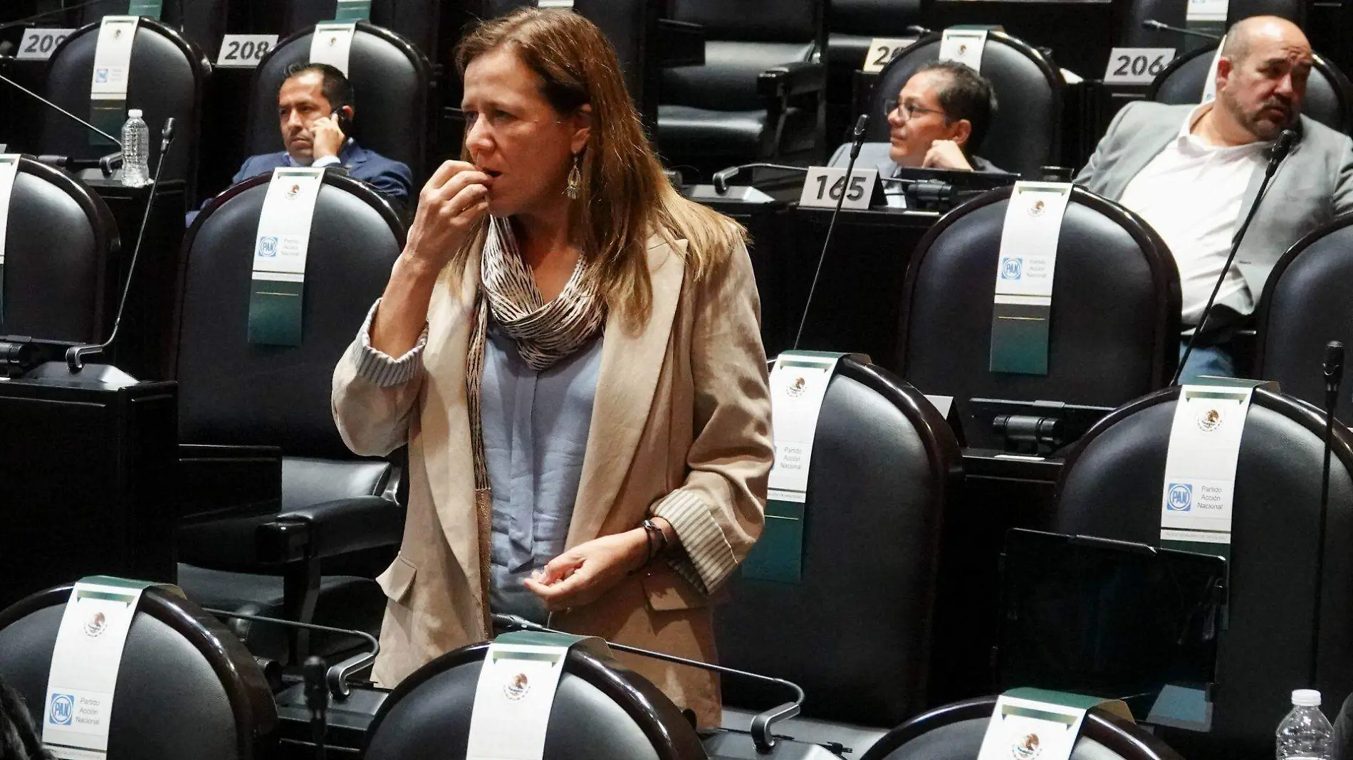 971482_Sesión Cámara Diputados-4_web